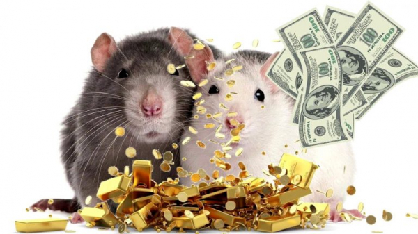 Любимчики крысы: 4 знака зодиака, которым непременно повезёт в январе 2020 года